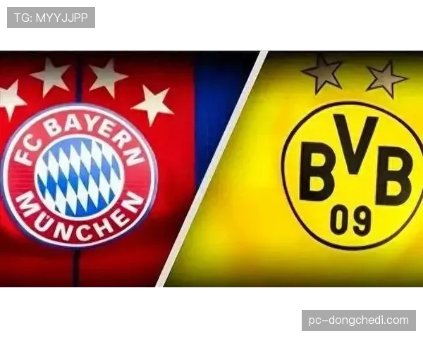 德甲俱乐部青训投入对比：拜仁、多特、莱比锡的不同模式