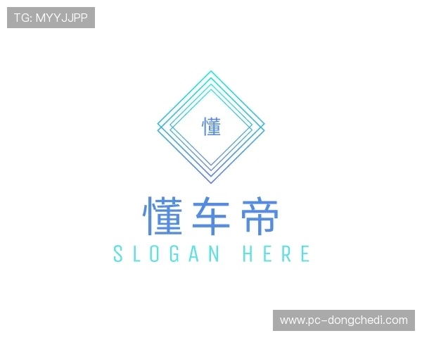 介绍懂车帝app